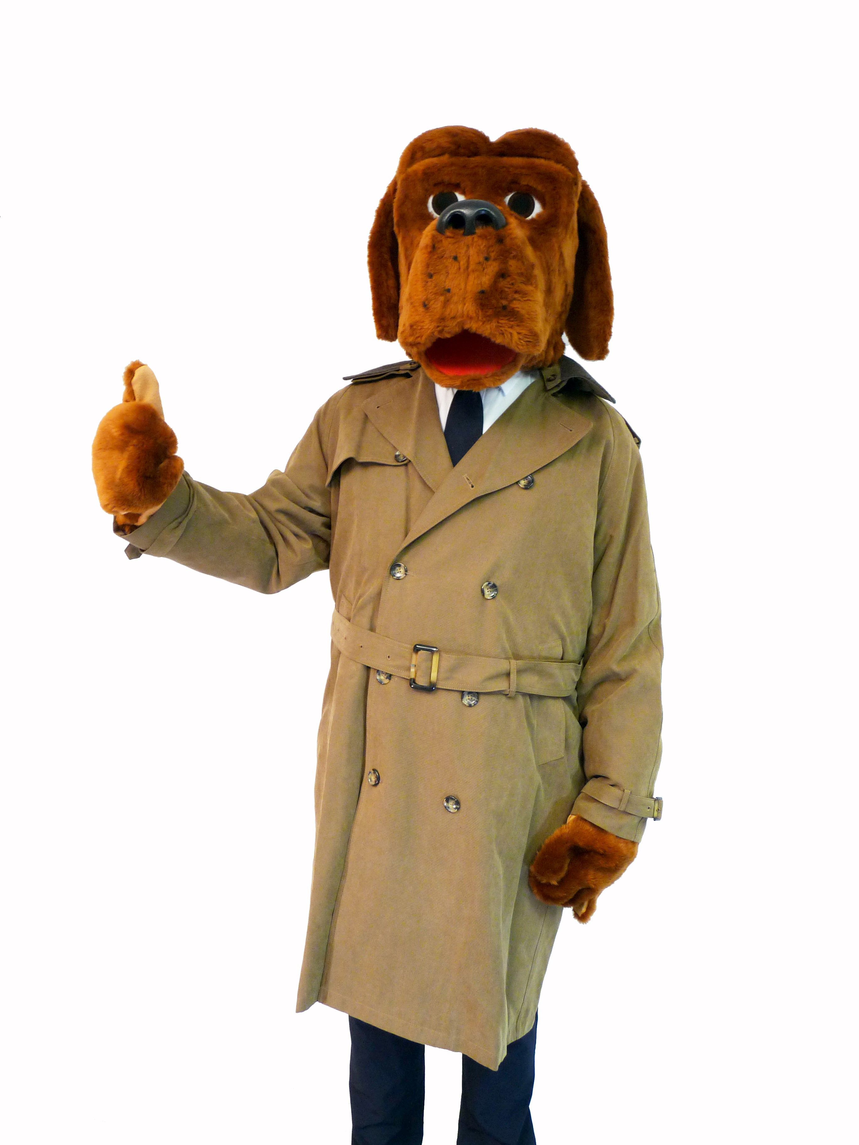 McGruff the Crime Dog Costume