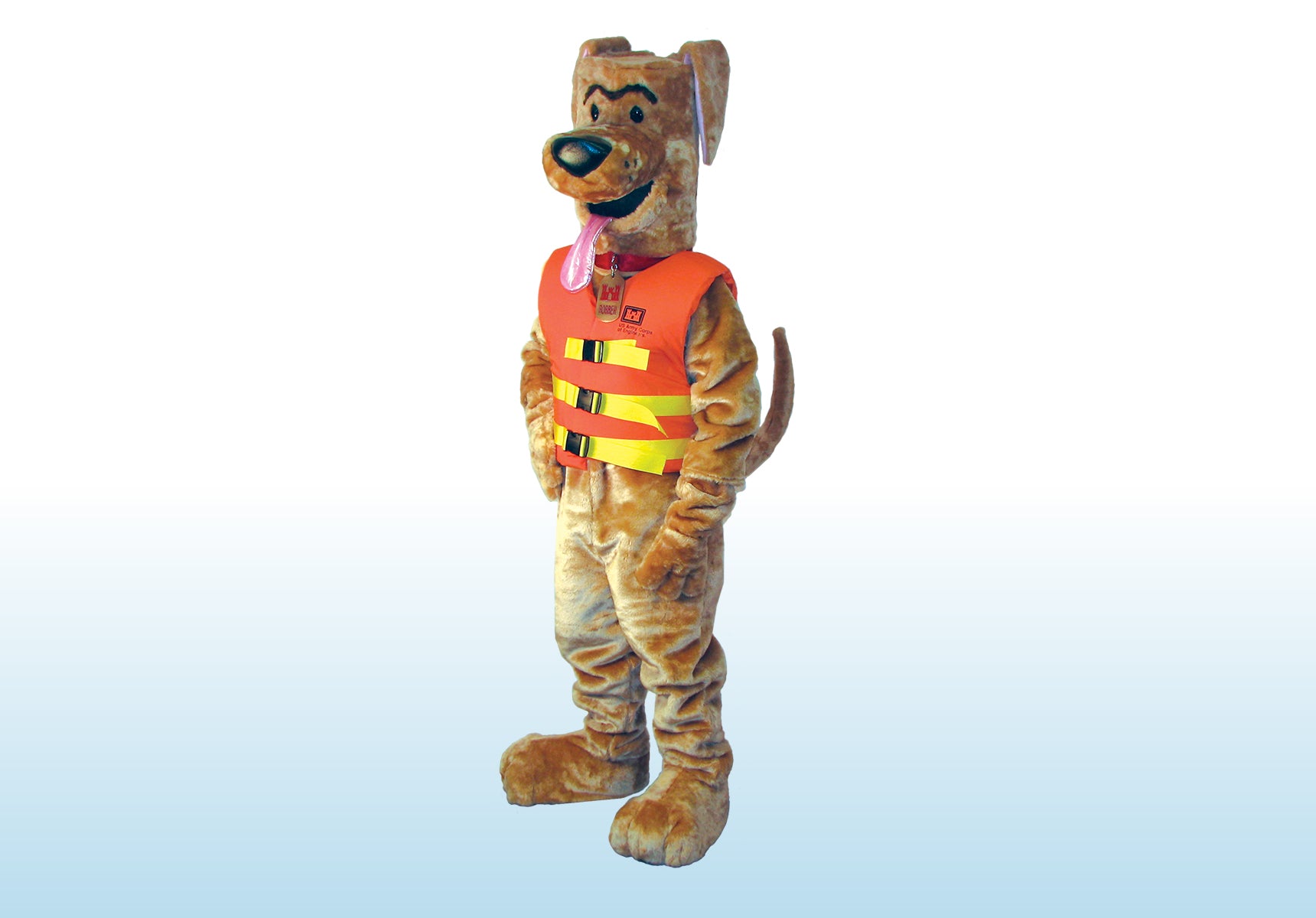 Bobber the Water Safety Dog