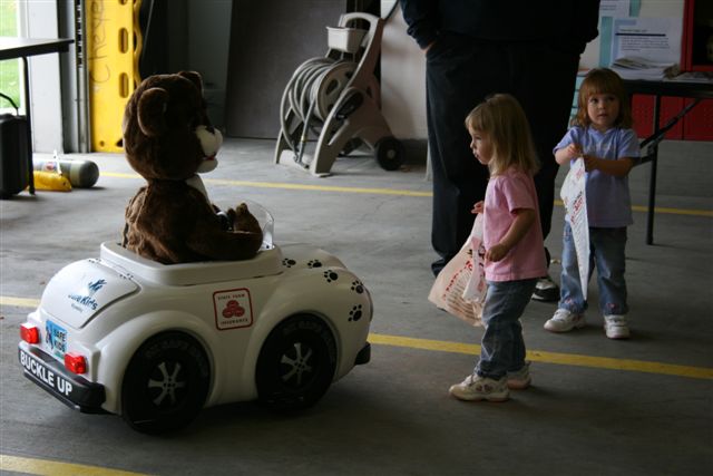 Bucklebear & Cruiser PACKAGE