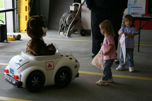 Bucklebear & Cruiser PACKAGE