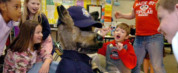 KC & Cruiser Robot PACKAGE