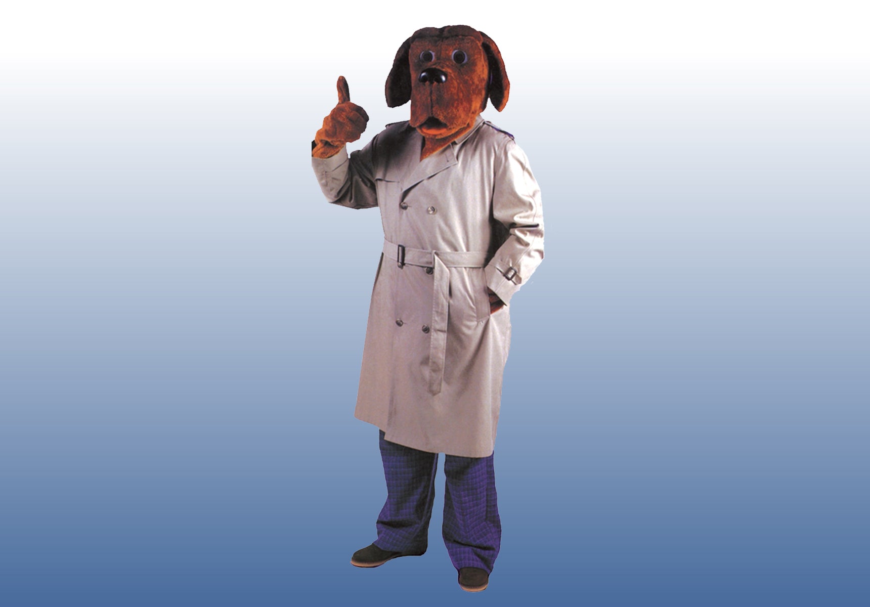 McGruff the Crime Dog Costume